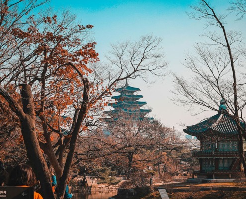 Seoul_jet-dela-cruz-AOI_fg7A28w-unsplash-(2)