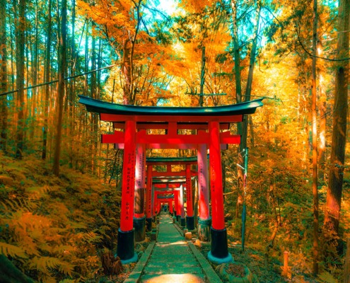 Fushimi-Inari_#B_jezael-melgoza-poA1y52Nav0-unsplash