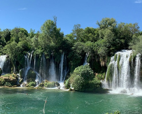 Kravica_carolina-fuzinato-ZgULrQV0wWc-unsplash