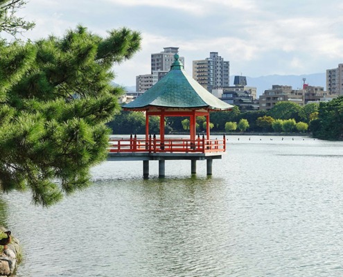 Ohori-Park_winged-jedi-L_GSQ5N8IU0-unsplash