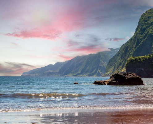 nature-6777991_1280