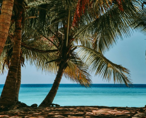 Strand_sandy-ravaloniaina-e5zFq7rZ1-8-unsplash